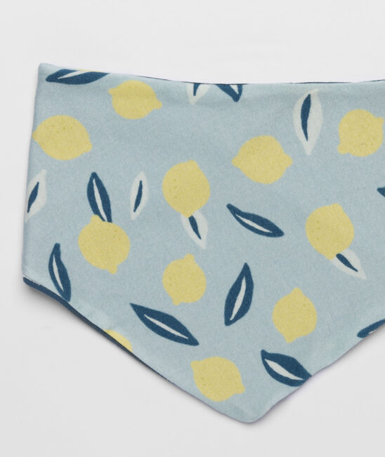 Bandana limones