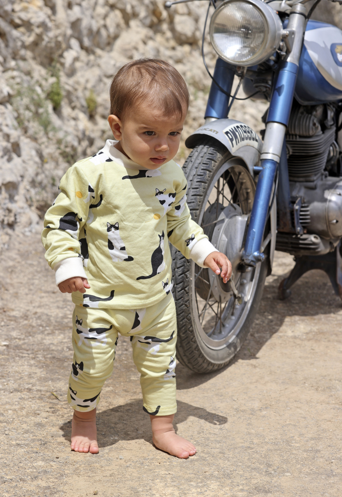 LEGGING GATOS AMARILLO