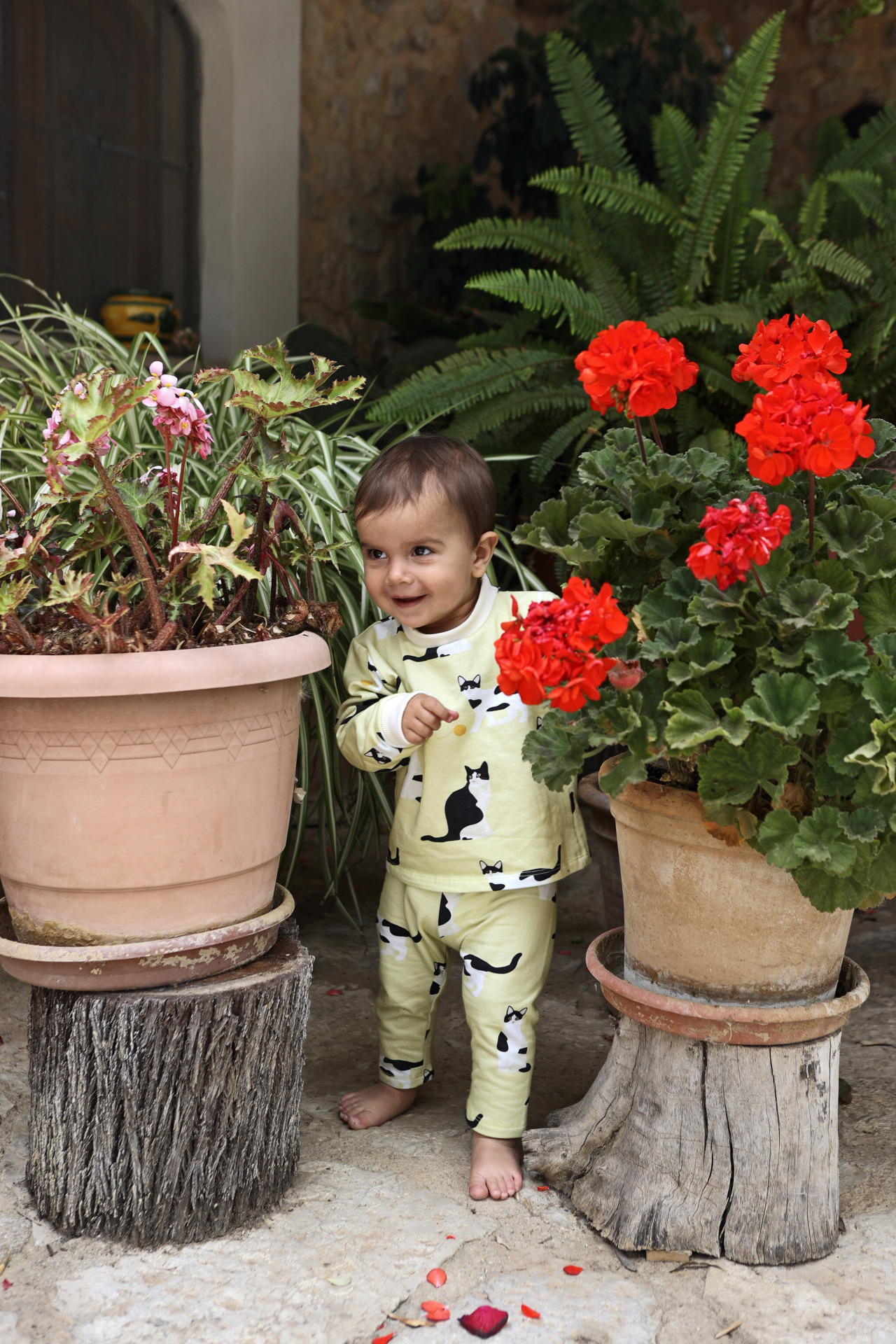 Sudadera de algodón orgánico Misuki